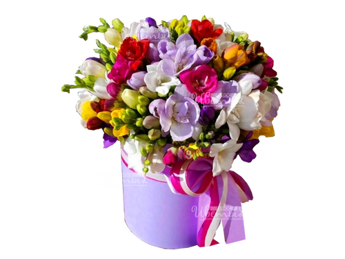 Букеты из фрезий и альстромерии с доставкой по России...